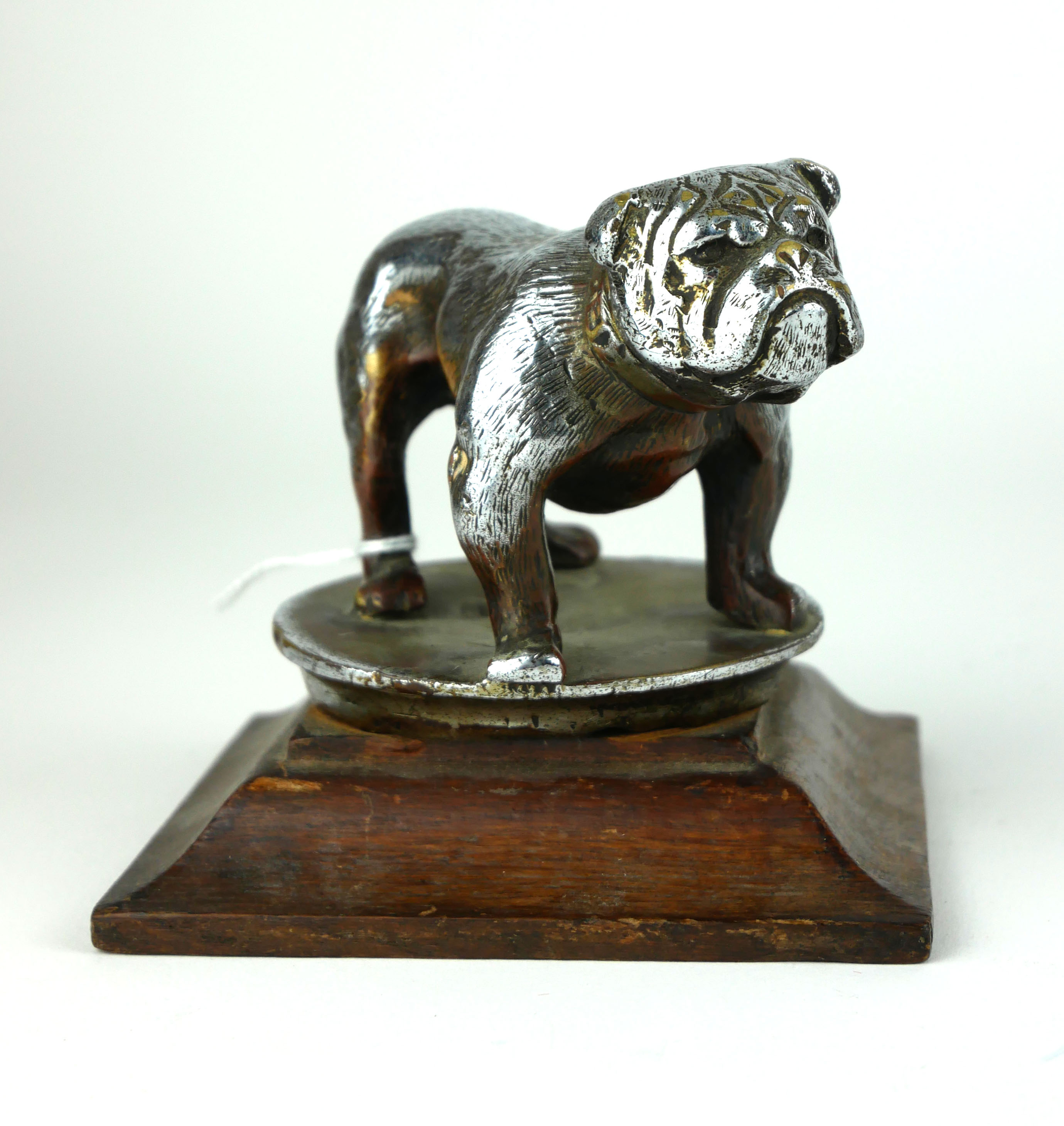 AN EARLY 20TH CENTURY SILVERED BRONZE BULLDOG CAR MASCOT Standing pose, on a carved oak plinth,