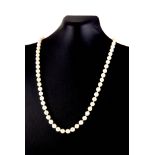 A VINTAGE 9CT GOLD AND PEARL NECKLACE The single strand of pearls with a 9ct gold clasp set with a