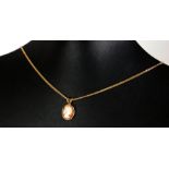 A VINTAGE 9CT GOLD CAMEO PENDANT NECKLACE Oval pendant shell cameo on fine link chain necklace. (