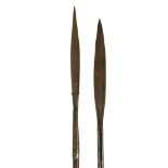 TWO EARLY 2OTH CENTURY IRON SPEARS. (90cm)