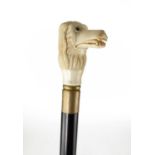 A CARVED BONE HANDLED WALKING STICK Hunting dog with pronounced snout and glass eye, on mahogany