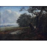 ATTRIBUTED TO CHARLOTTE NASMYTH, 1804 - 1884, 19TH CENTURY OIL ON CANVAS Landscape, stream with