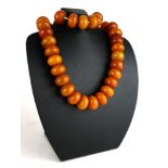 AN UNSUAL LARGE EARLY 20TH CENTURY AMBER NECKLACE A single row of uniform circular beads on a fabric