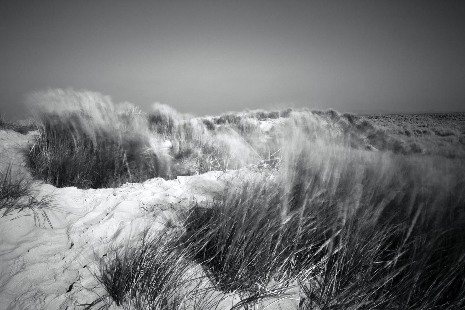 DEBORAH DODSWORTH, 1973 - PRESENT, BLACK AND WHITE DIGITAL PRINT Titled 'East Grasses 2018',