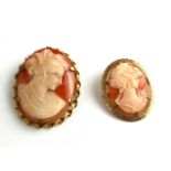 TWO EARLY/MID 20TH CENTURY SHELL CARVED CAMEOS IN 9CT GOLD MOUNTS.