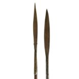 TWO EARLY 2OTH CENTURY IRON SPEARS. (90cm)