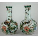 A PAIR OF 19TH CENTURY CHINESE VASES With enamelled decoration in the form of exotic birds amongst