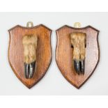 A 20TH CENTURY PAIR OF TAXIDERMY DEER FEET ON OAK SHIELDS (h 26cm x w 17cm)