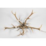 A 20TH CENTURY ANTLER CHANDELIER (h 50cm x w 130cm x d 130cm)