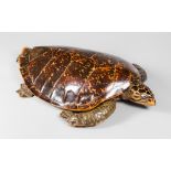 A LARGE AND IMPRESSIVE LATE 19TH/EARLY 20TH CENTURY TAXIDERMY HAWKSBILL TURTLE (l 100cm x w 74cm)