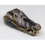 AN EARLY 20TH CENTURY TAXIDERMY CROCODILE HEAD (l 25cm)