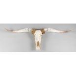 A 20TH CENTURY LONGHORN SKULL (w 183cm)