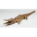 AN EARLY 20TH CENTURY TAXIDERMY CROCODILE (130cm)