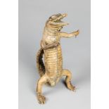 A LATE 19TH/EARLY 20TH CENTURY TAXIDERMY WHIMSICAL CROCODILE (h 30cm)