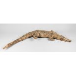 A LATE 19TH/EARLY 20TH CENTURY TAXIDERMY CROCODILE (160cm)