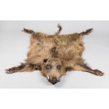 A 20TH CENTURY TAXIDERMY WILD BOAR SKIN RUG WITH MOUNTED HEAD (l 170cm x w 140cm)