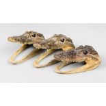 A 20TH CENTURY GROUP OF TAXIDERMY AMERICAN ALLIGATOR HEADS Largest (l 18cm)