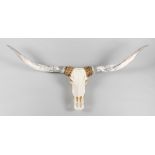 A 20TH CENTURY LONGHORN SKULL (w 170cm)