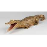 AN EARLY 20TH CENTURY TAXIDERMY CROCODILE (85cm)