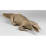 A 19TH CENTURY TAXIDERMY CROCODILE (110cm)