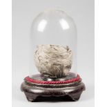 A 20TH CENTURY WASP NEST UNDER GLASS DOME (h 28cm x w 20cm x d 20cm)