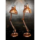 A PAIR OF COPPERED ANGLEPOISE DESK LAMPS. (72cm) Condition: good throughout