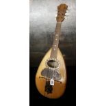 F.D. MUREDA, NAPOLI, A 19TH CENTURY ITALIAN ROSEWOOD AND TORTOISHELL MANDOLIN Having a dome form