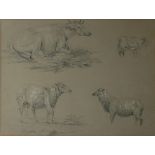 A 19TH CENTURY FINE PENCIL DRAWING Farmyard animals, mounted, framed and glazed. (37cm x 31cm)