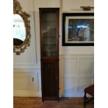 A 19TH CENTURY MAHOGANY SHOP'S CABINET With a single glazed door above cupboard, of narrow