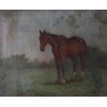 A 19TH CENTURY OIL ON CANVAS, PORTRAIT OF A HORSE Titled 'The Gunman', dated 1885, gilt framed. (