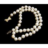 AKOYA, AN UNUSUAL 8CT GOLD PEARL NECKLACE The single strand of pearls with a butterfly form clasp '