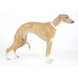 A 20TH CENTURY GERMAN BISQUE PORCELAIN FIGURE OF A HUNTING DOG Beige and cream finish with Germany