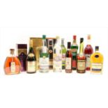 Assorted Brandy, Cognac and spirits to include Hine champagne cognac , 13 bottles of various size