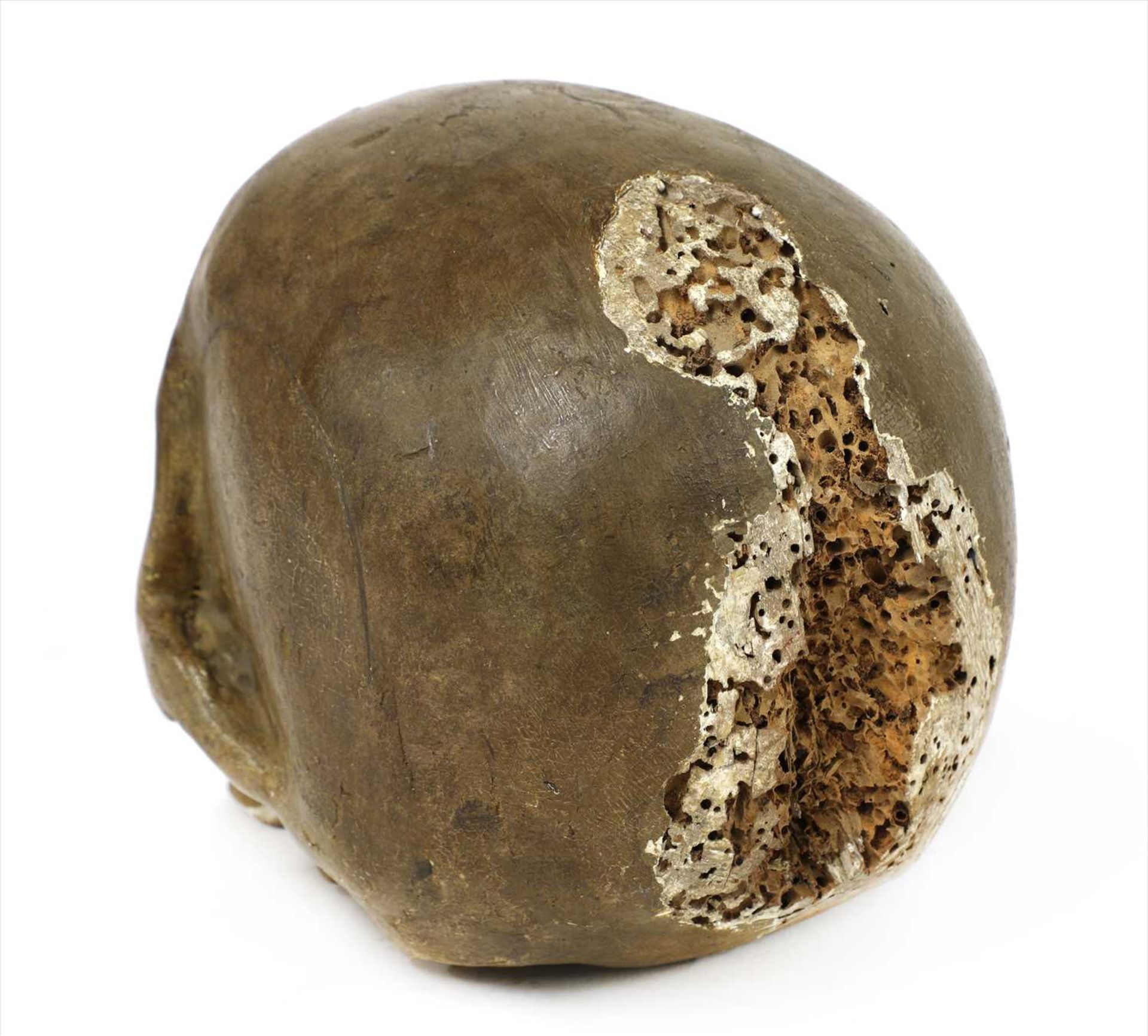 AN ITALIAN CARVED WOODEN LIFE-SIZE MODEL OF A SKULL, - Image 2 of 2