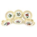 A set of twenty Paris Nast porcelain Botanical plates,