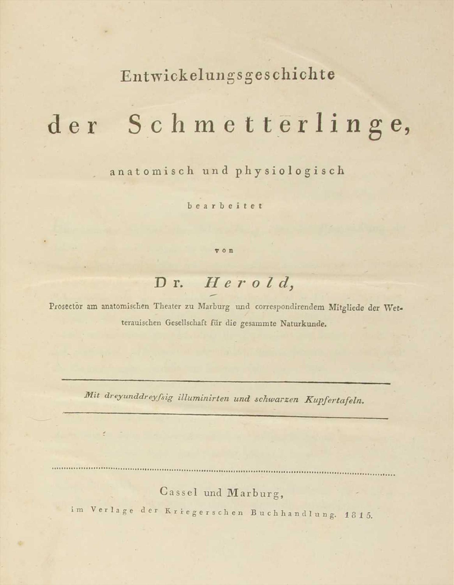 1- Herold, J. Moritz:, - Image 4 of 5