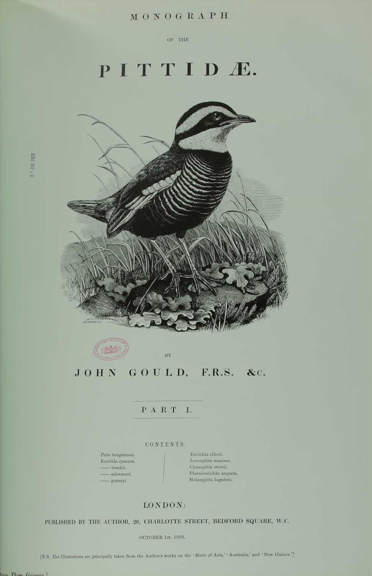 Gould, John: 1- A Monograph of the Ramphastidae, - Image 2 of 5