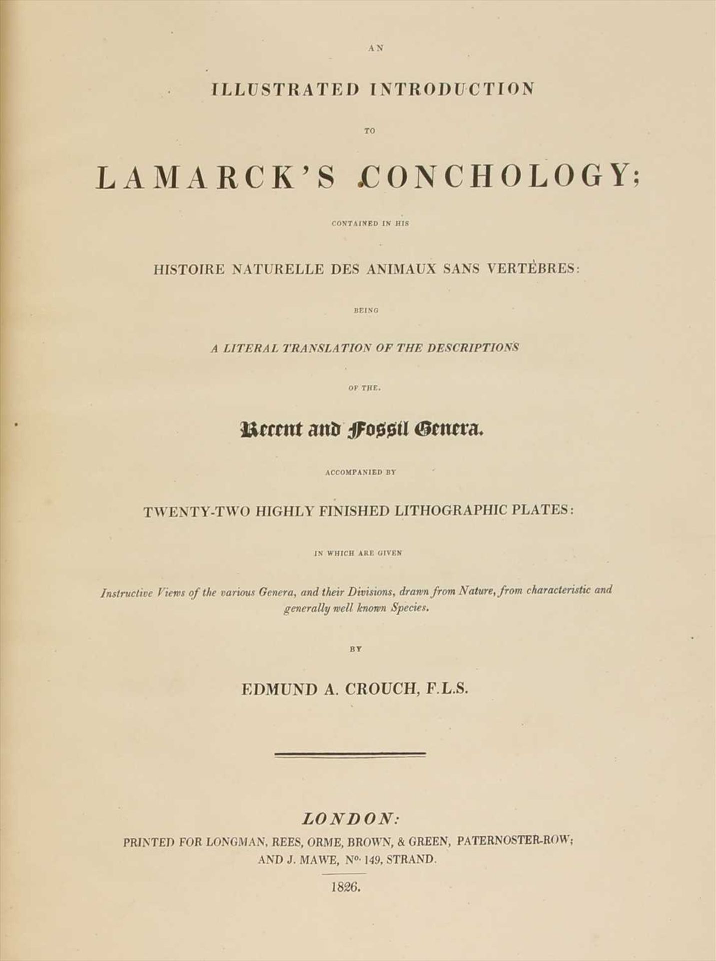 CONCHOLOGY: 1- Crouch, E A: An Illustrated Introduction to Lamarck's Conchology.. - Image 2 of 4