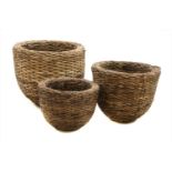 Three large graduated wicker plant baskets