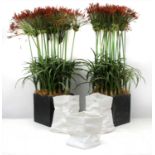 A pair of faux Papyrus grass in planters