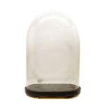 A large Victorian glass dome,