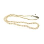 A single row graduated cultured pearl necklace,