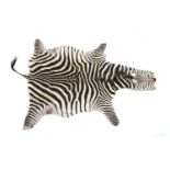 A zebra skin rug