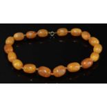 A single row graduated olive shaped butterscotch amber bead necklace,