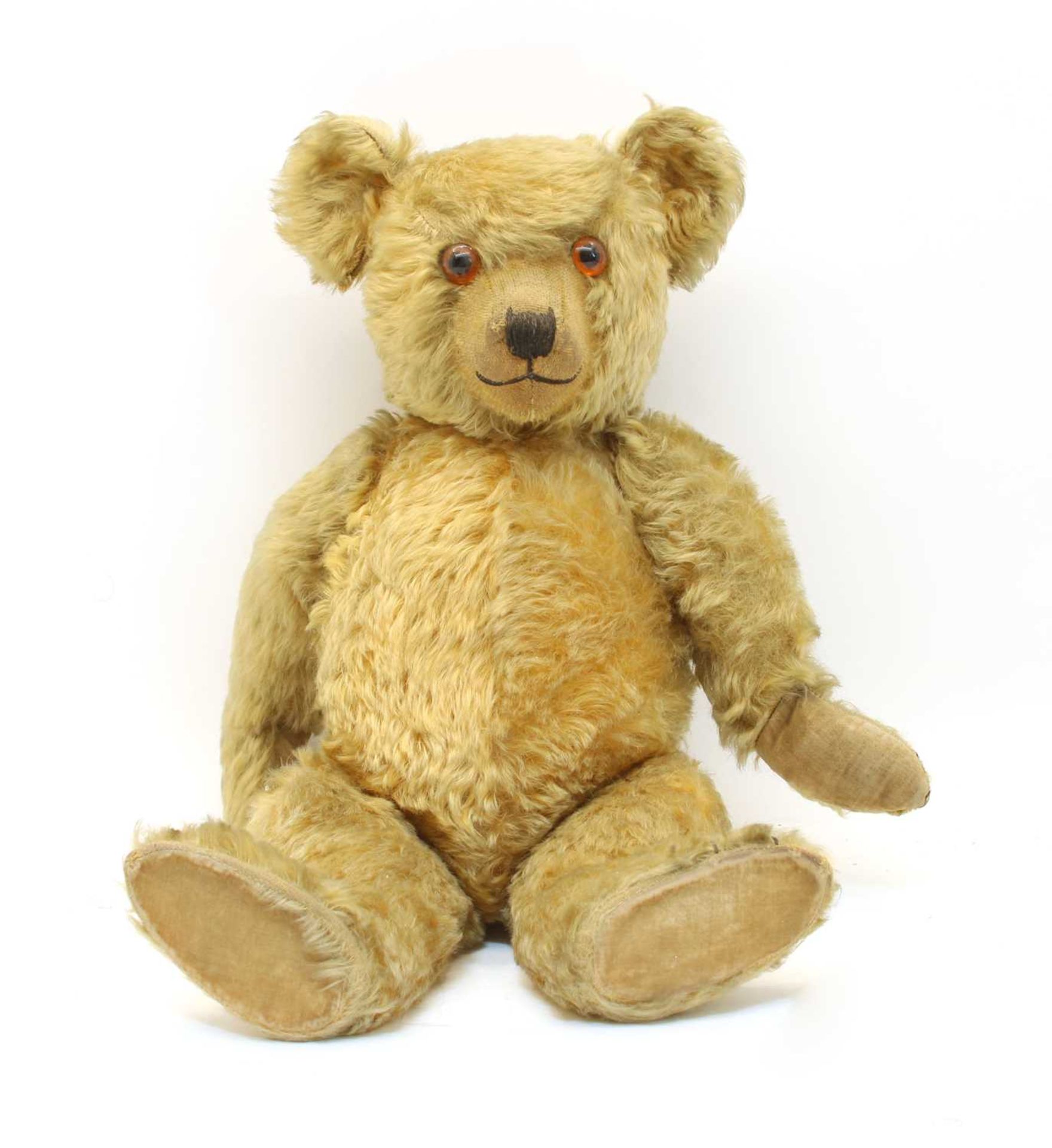 A plush teddy bear,