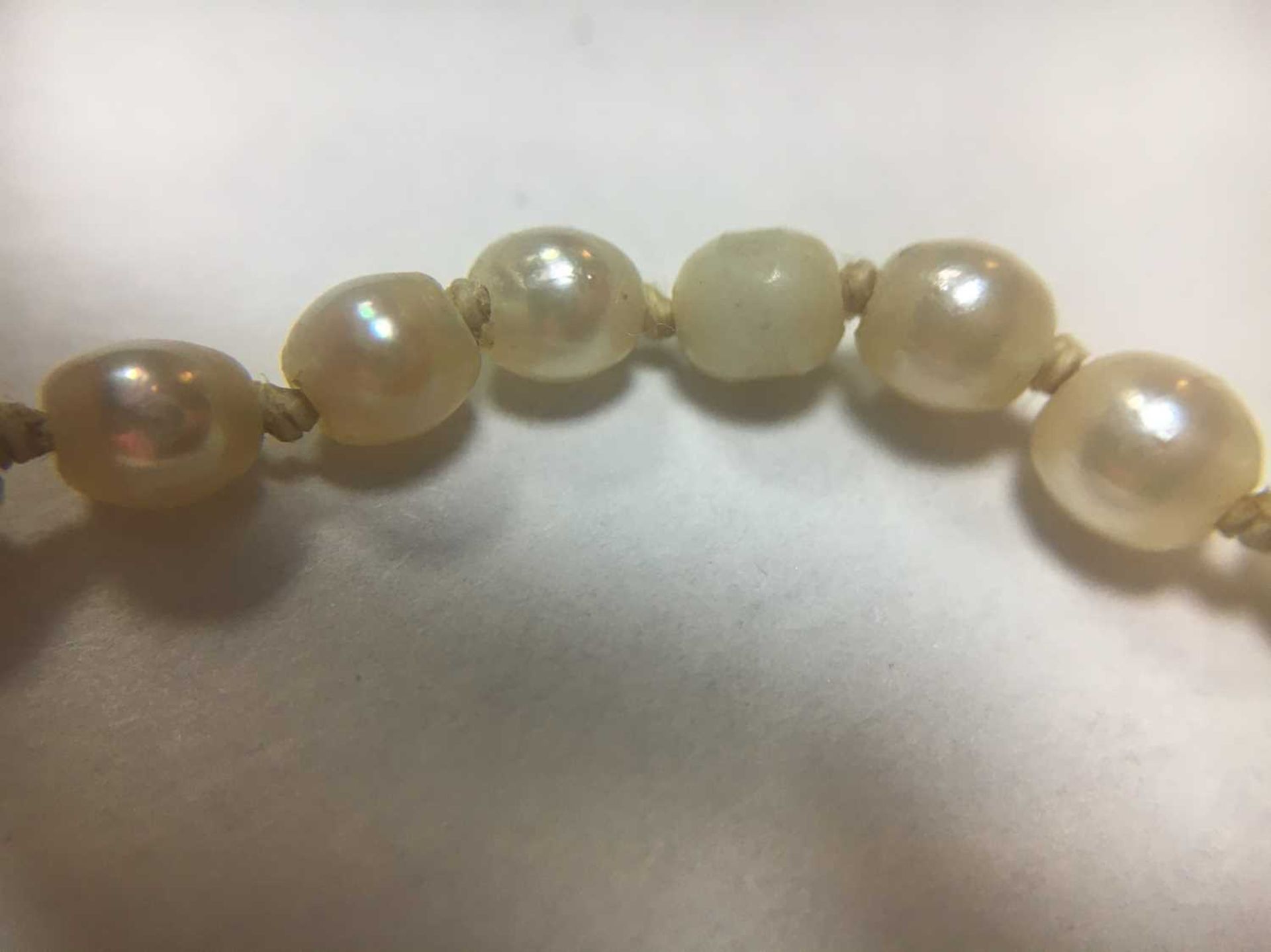 A single row graduated cultured pearl necklace, - Bild 5 aus 6