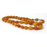 A single row graduated olive shaped butterscotch amber bead necklace,