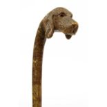 A Brigg spaniel's head walking stick,