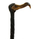 A bull's pizzle walking stick with bird skull handle,