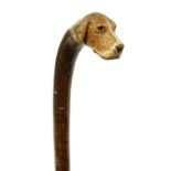 A hazel walking stick,